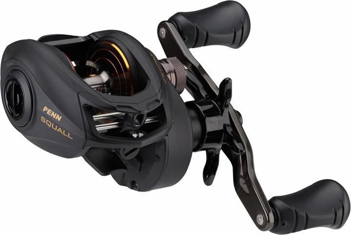 Image du produit Penn Squall Low Profile