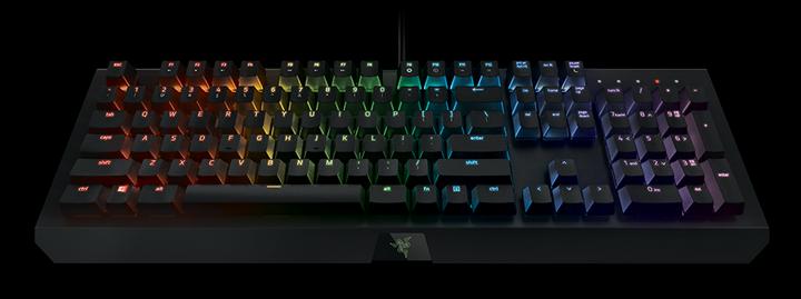Actual product image Razer BlackWidow X Chroma (DE, Cable)