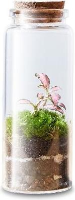 Immagine prodotto Green Bubble La molecola (12 cm)