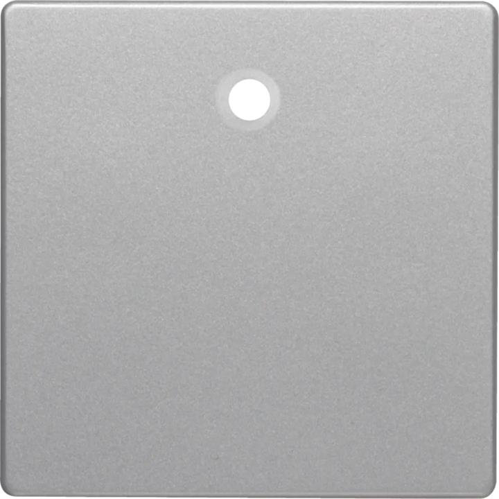 Image du produit Berker Pièce centrale