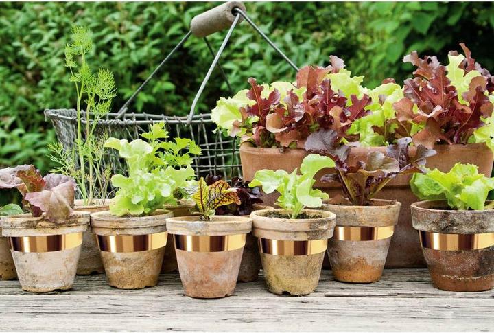 Produktbild Swissinno Schneckenkupferband 3cm x 5m