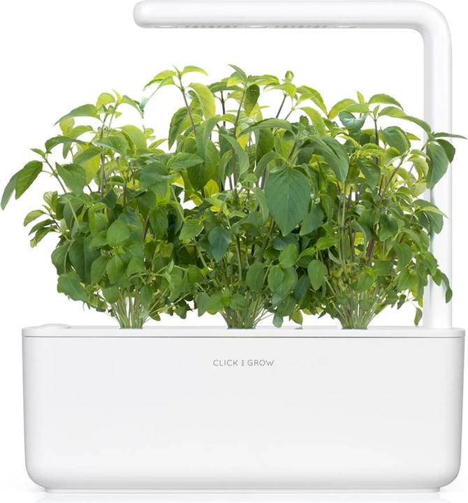 Actual product image Click and Grow Thai Basil (Herb seeds)