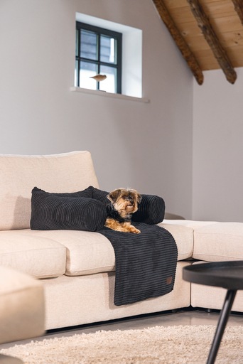 Productafbeelding Designed by Lotte Geribbeld (Hond)