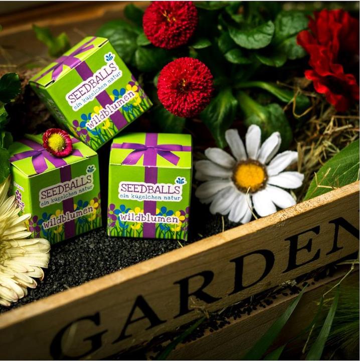 Produktbild Die Stadtgärtner Wildblumen im Würfel (Keimlinge)