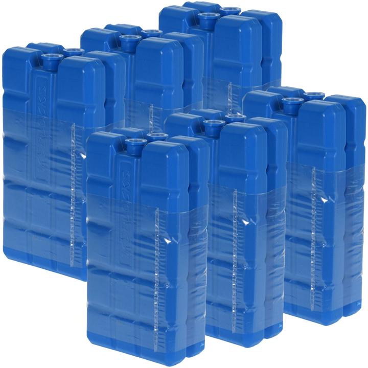 ProWorld KÃ¼hlelemente im 12er-Set, KÃ¼hlakkus, je 200 g