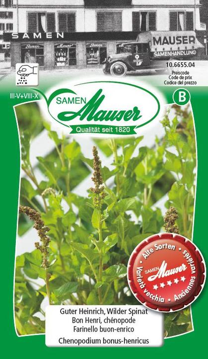 Actual product image Samen Mauser Good Henry, Wild Spinach (Vegetable seeds)