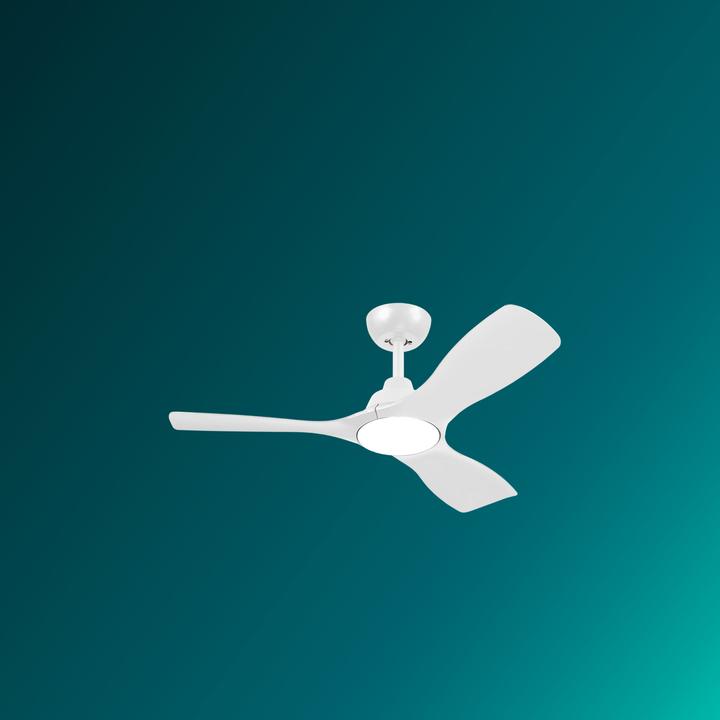 Actual product image Philips Ceiling fan light