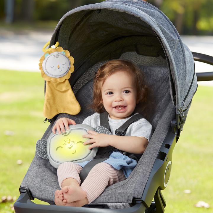 Immagine prodotto Fisher-Price Piantina Grassa Relax Sempre con Te