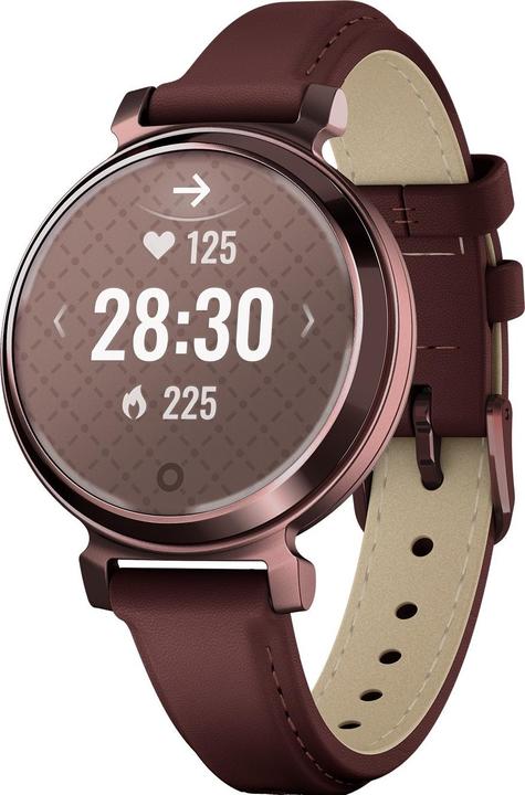 Image du produit Garmin 010-02839-03 Lilly 2