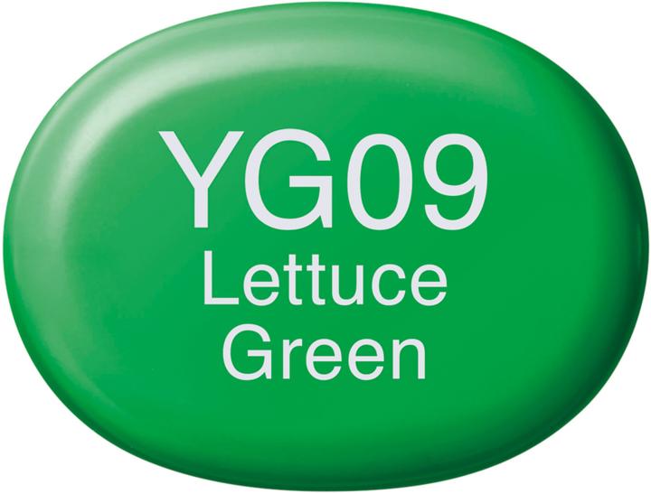 Actual product image Copic Sketch type YG - 09 (1x)