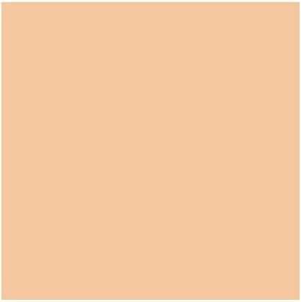 Actual product image MAC Cosmetics Studio Fix 24-Hour Smooth Wear Concealer (No. NC25)