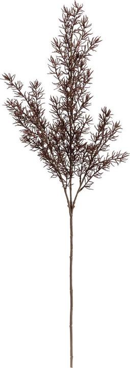 Actual product image pfister Mystic Forest