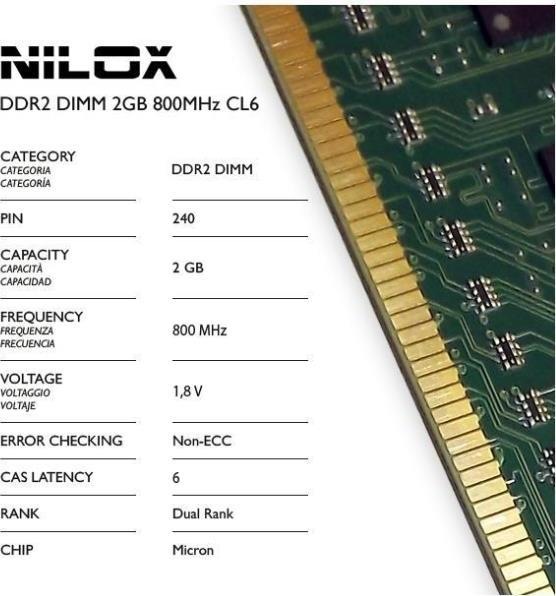 Nutritional values and ingredients Nilox DDR2 DIMM Desktop RAM Memory 2GB 800MHz CL6, Green (1 x 2GB, 800 MHz, DDR2-RAM, DIMM)