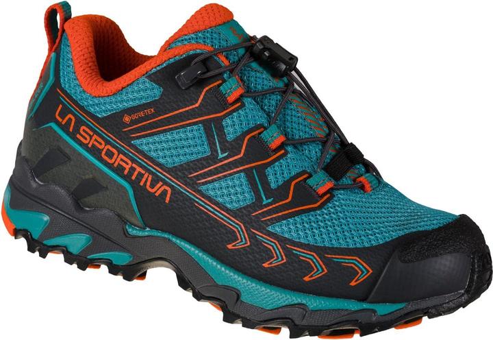 cherry tomato, Lagoon