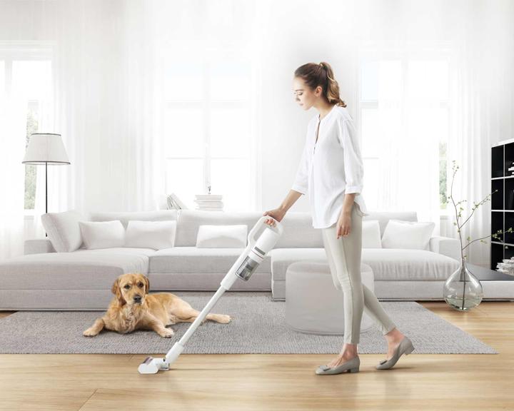 Actual product image Xiaomi Roidmi pet brush