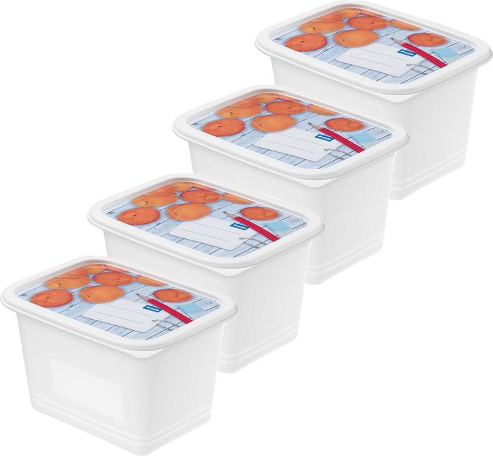 Actual product image Rotho Freezer jar set Domino decor (1 l)