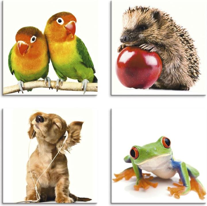 Produktbild Artland Grauköpfchen Igel Hund Frosch K2IK (20 x 20 cm)