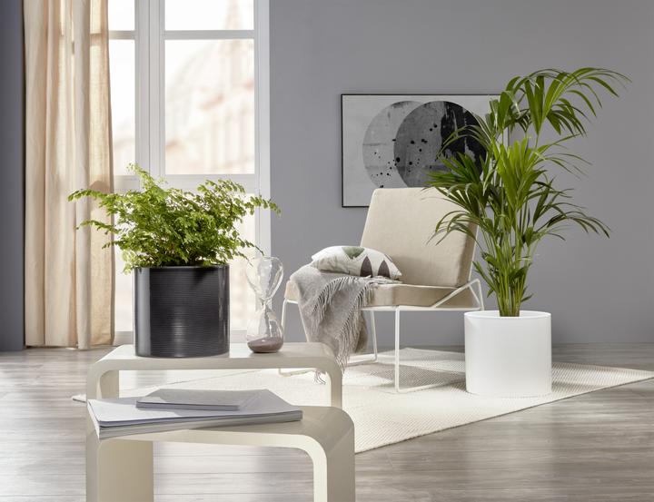 Immagine prodotto Scheurich Vaso da fiori (40 cm)