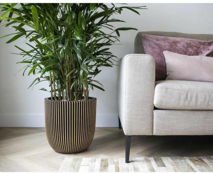 Produktbild Capi Morgan (43 x 41 cm)