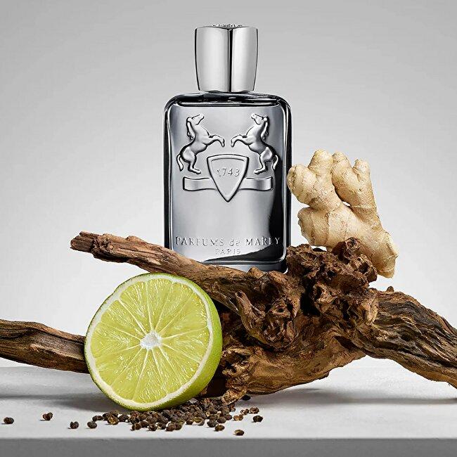 Image du produit Parfums de Marly Castley Eau de Parfum (Eau de parfum, 75 ml)