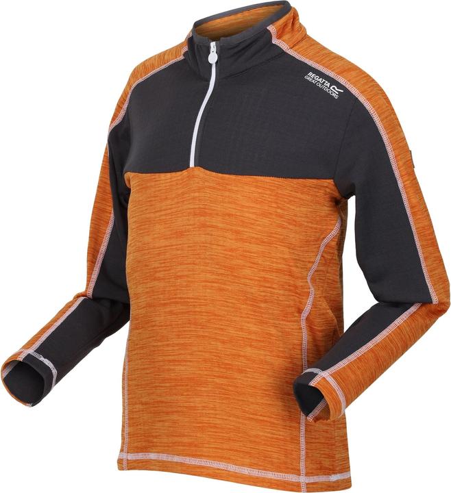 Actual product image Regatta Childrens/Kids Hewley Recycled Half Zip Fleece Top (146, 152)