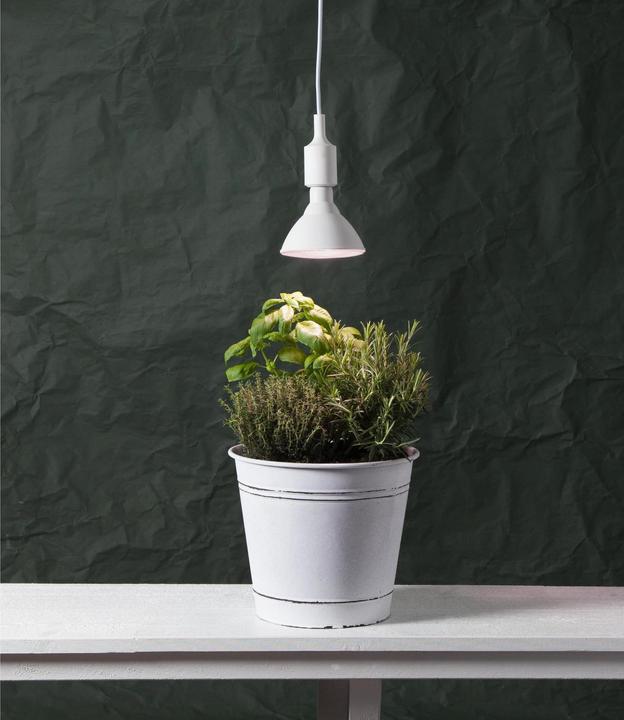 Actual product image Star Trading Lamp Plant Light (E27, 16 W, 1200 lm, 1 x)