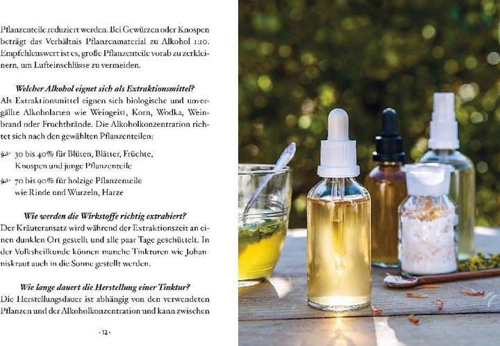 Produktbild Das kleine Buch: Heiltinkturen aus Wald und Wiese (Deutsch, Gabriela Nedoma, 2022)
