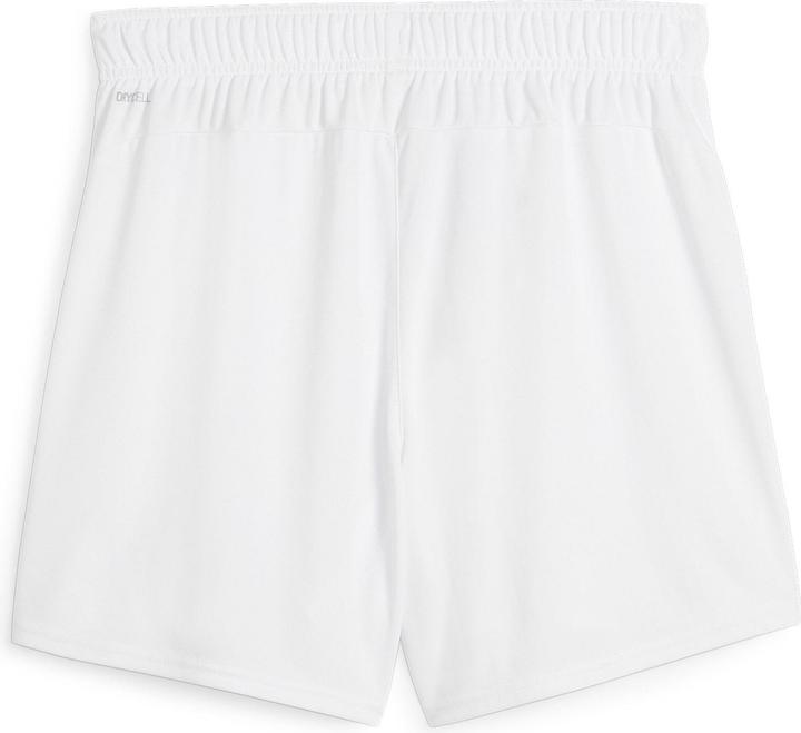 Puma teamGOAL Handball Shorts W