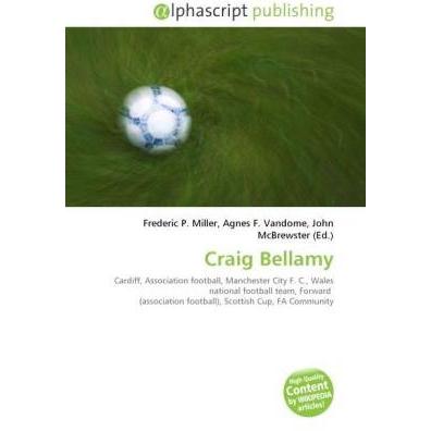 Craig Bellamy, Ratgeber