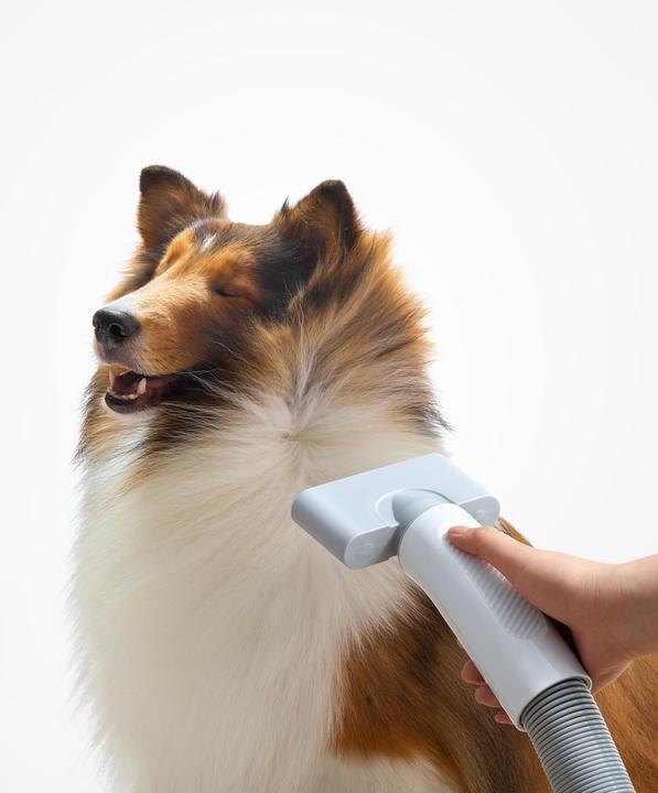 Productafbeelding HomeRunPet Haustierföhn PD10 (Hond)