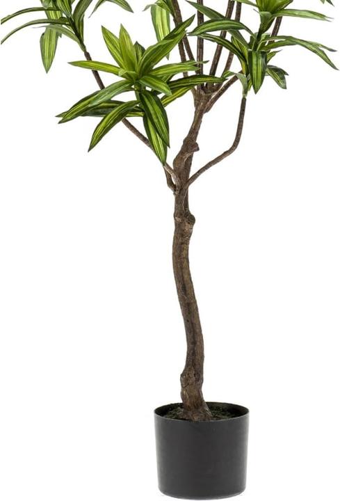 Image du produit Emerald Brendis (130 cm)