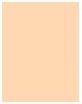 Actual product image MAC Cosmetics Studio Fix 24-Hour Smooth Wear Concealer (NW22)
