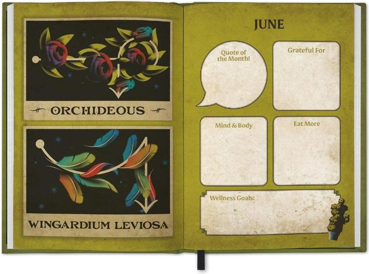 Actual product image 2026 Potion A5 Diary (A5, Plain, Hardcover)