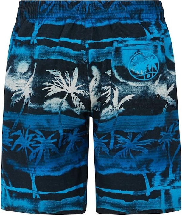 Actual product image Protest Swim shorts PRTStones JR beachshort (140)