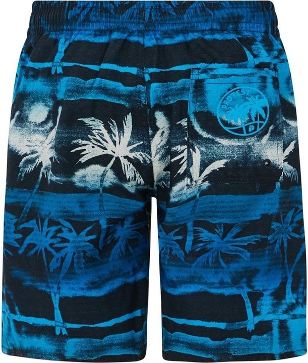 Produktbild Protest Swim shorts PRTStones JR beachshort (140)