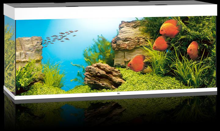Immagine prodotto Juwel Aquarium Rio (450 l)