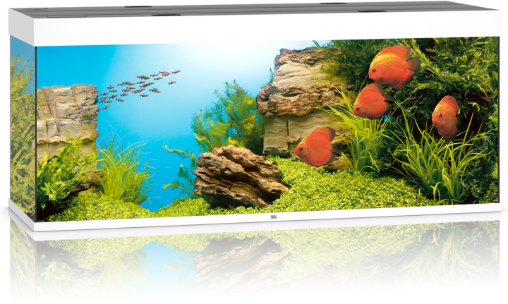 Immagine prodotto Juwel Aquarium Rio (450 l)