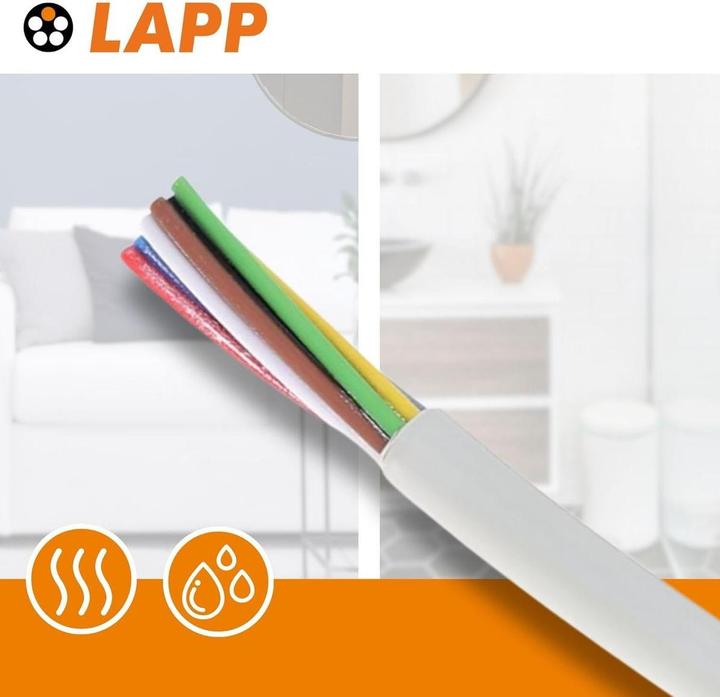 Lapp 10 metres 0028308 LiYY control cable 8x0.25 mm² I Signal cable 8 cores I Solder cable for circuit (10 m)