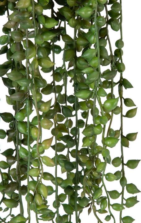 Immagine prodotto DPI Giardino (22 cm)