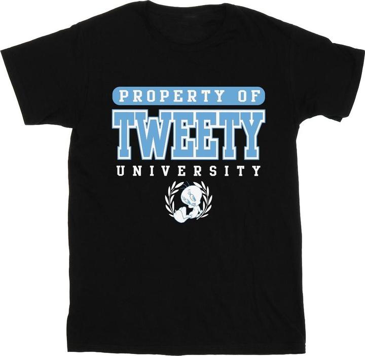 Image du produit Looney Tunes - T-shirt TWEETY PROPERTY OF UNIVERSITY - Homme (S)