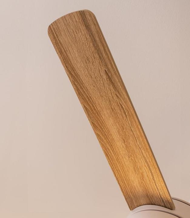 Actual product image Cecotec 05996