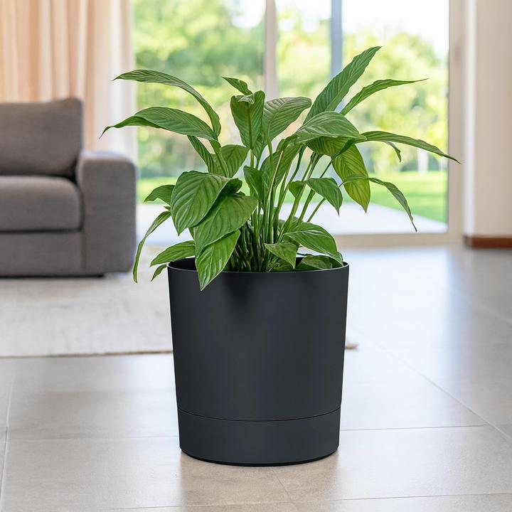 Produktbild Konzept Grosser Blumentopf