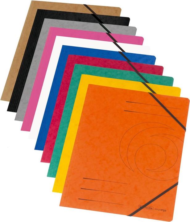 Actual product image Herlitz 11166816 File Folder Cardboard Mixed Colours A4 (A4, 1 Piece)