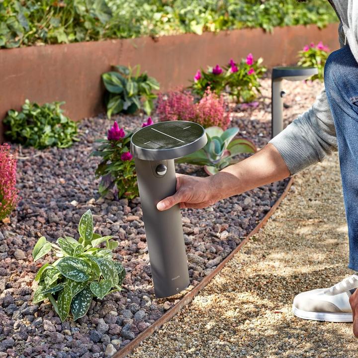 Actual product image Philips Tyla (250 lm, IP44)