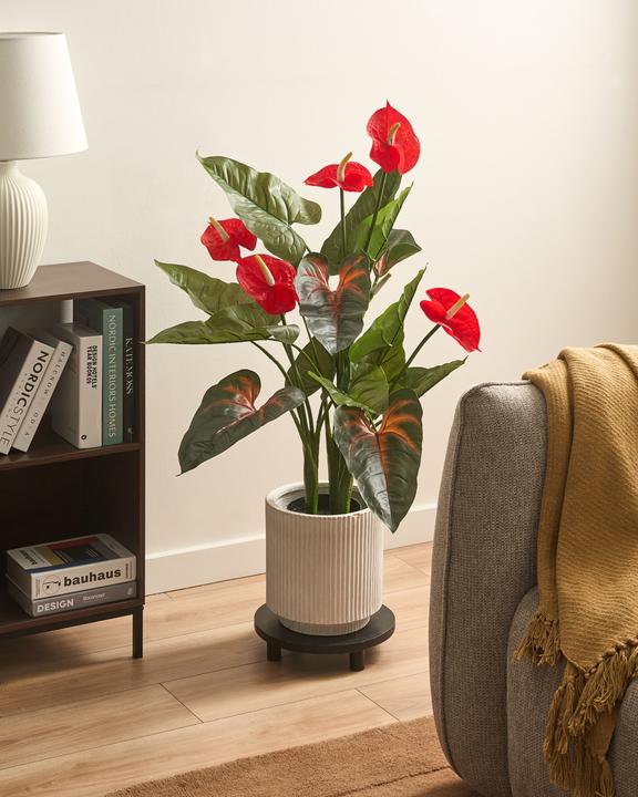 Produktbild Beliani Anthurium (95 cm)