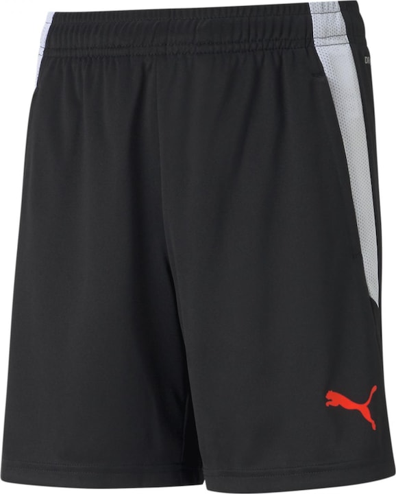Actual product image Puma teamLIGA Training Shorts Jr-657250 (140)