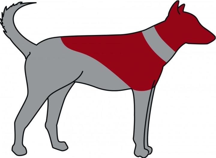 Image du produit Trixie Collier de protection, gonflable (Chien)