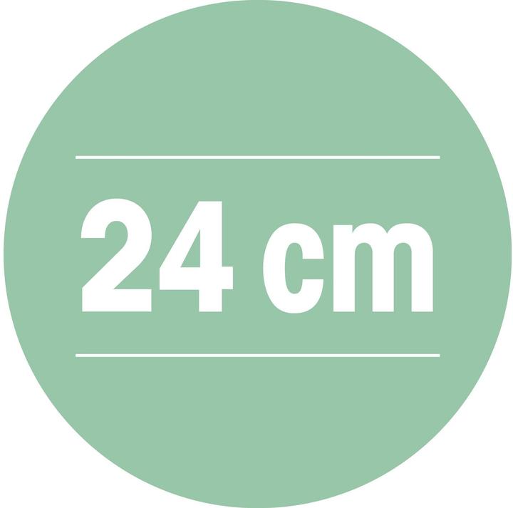 Produktbild Livington Titan Pan (Bratpfanne, Aluminium, Edelstahl, 24 x 12.50 cm)