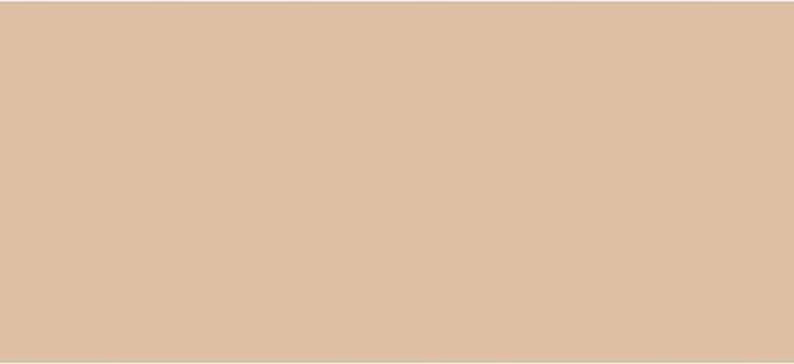 Actual product image Clarins Everlasting Concealer (No. 01)