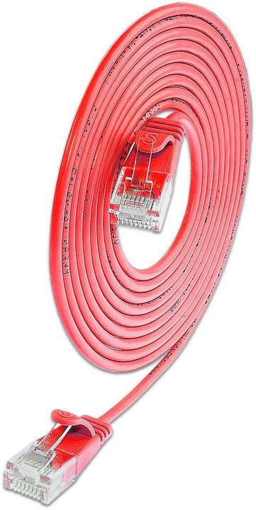 Image du produit Wirewin Câble patch mince : UTP, 15cm, rouge (U/UTP, CAT6, 0.15 m)